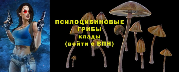 молекула духа Арсеньев