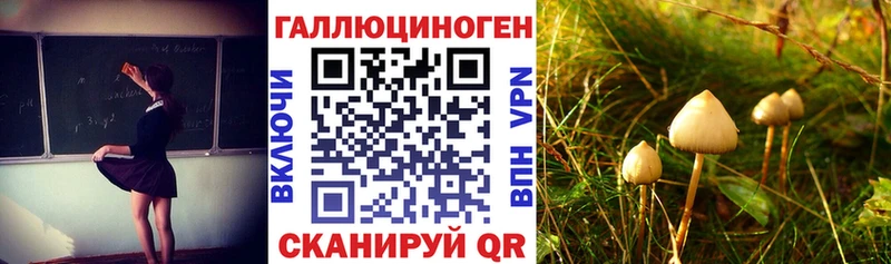 Галлюциногенные грибы Psilocybe  Судак 